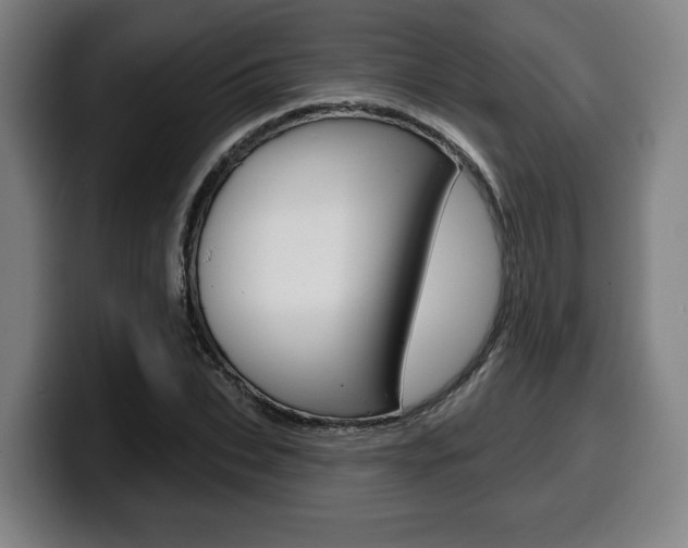 X0000099500927200805150946