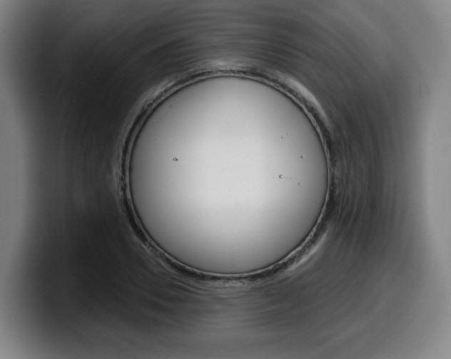 X0000099500930200805150946