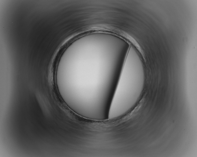 X0000099500931200805150946