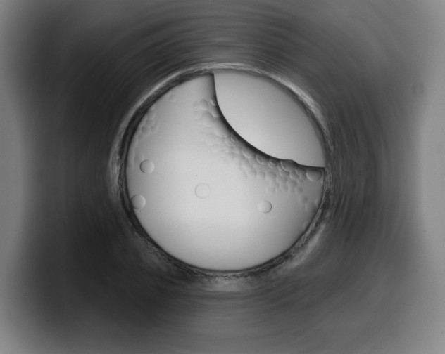 X0000099500933200805150946