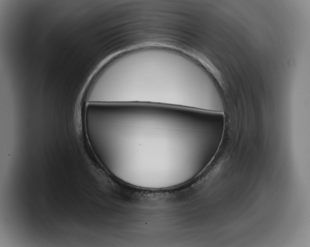 X0000099500934200805150946
