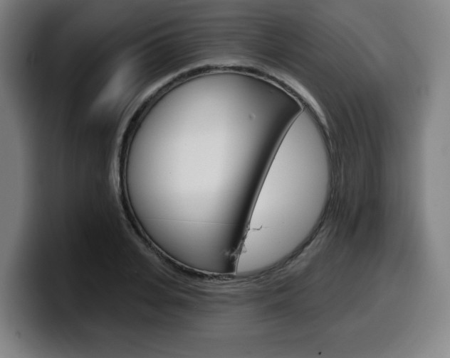 X0000099500935200805150946