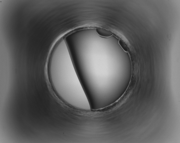 X0000099500936200805150946