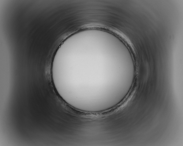 X0000099500937200805150946