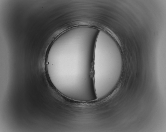 X0000099500938200805150946