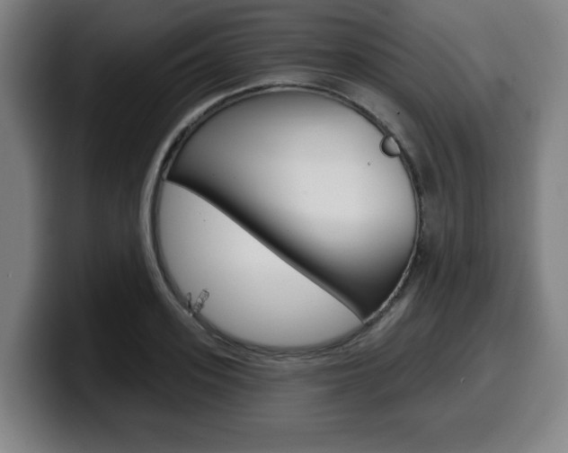 X0000099500939200805150946