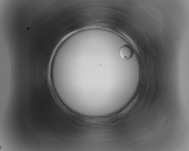 X0000099500940200805150946