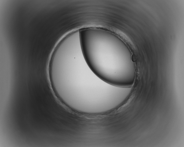 X0000099500942200805150946