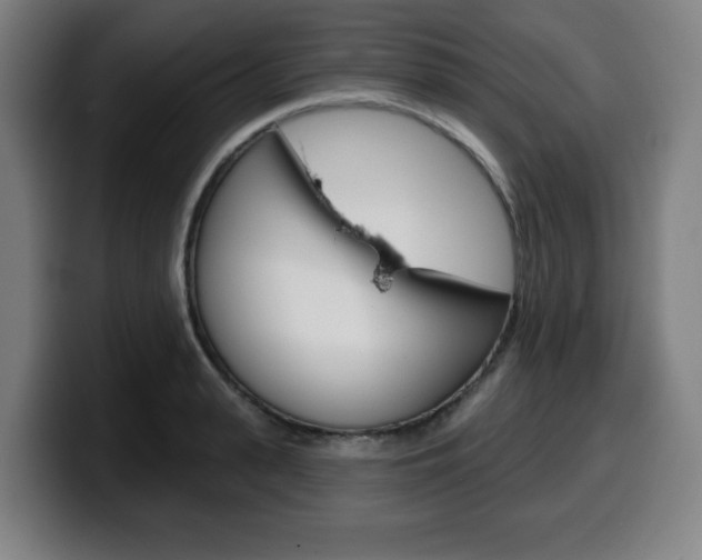 X0000099500943200805150946
