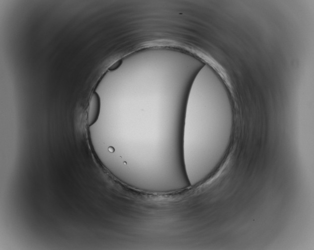 X0000099500945200805150946