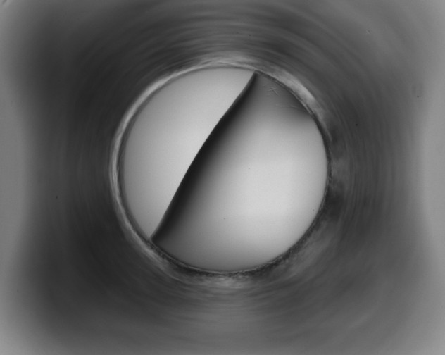 X0000099500947200805150947