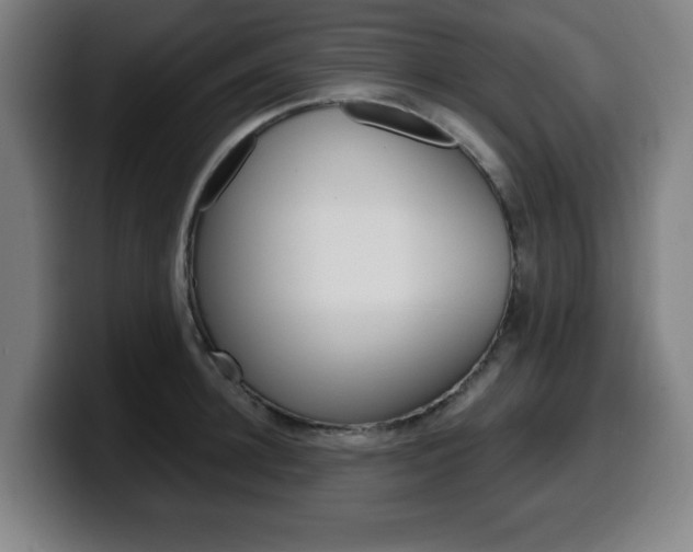 X0000099500948200805150947