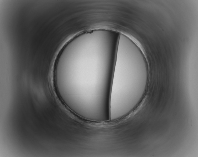 X0000099500949200805150947