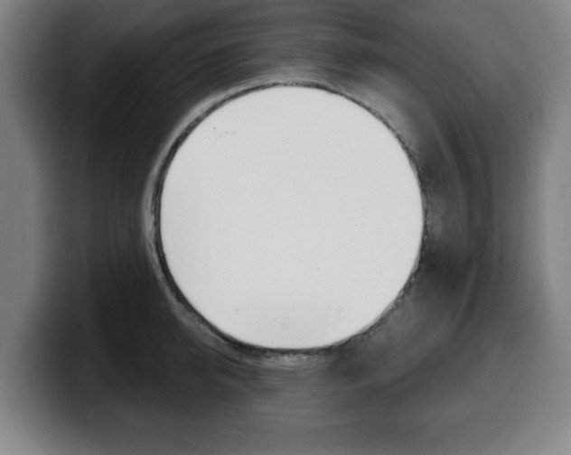 X0000099500950200805150947