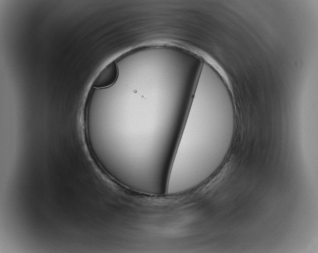 X0000099500951200805150947