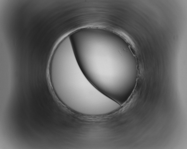 X0000099500952200805150947
