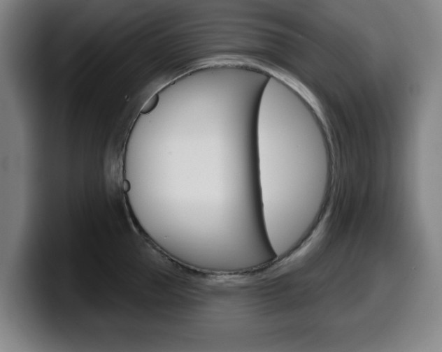 X0000099500953200805150947