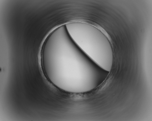 X0000099500955200805150947