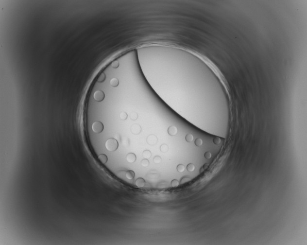 X0000099500957200805150947