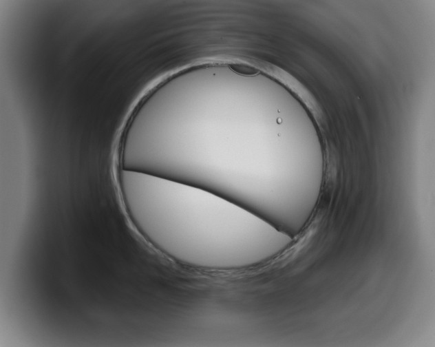 X0000099500958200805150947