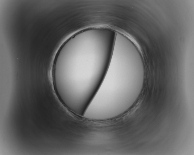 X0000099500959200805150947