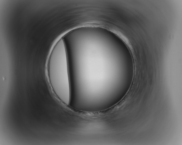 X0000099500960200805150947