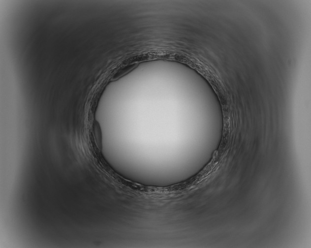 X0000099500961200805150946