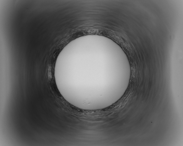 X0000099500962200805150946