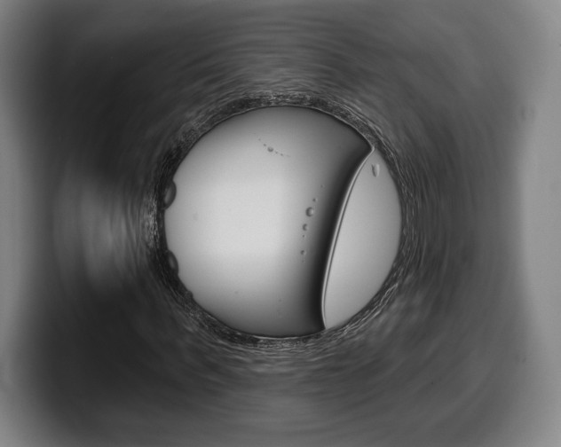 X0000099500963200805150946