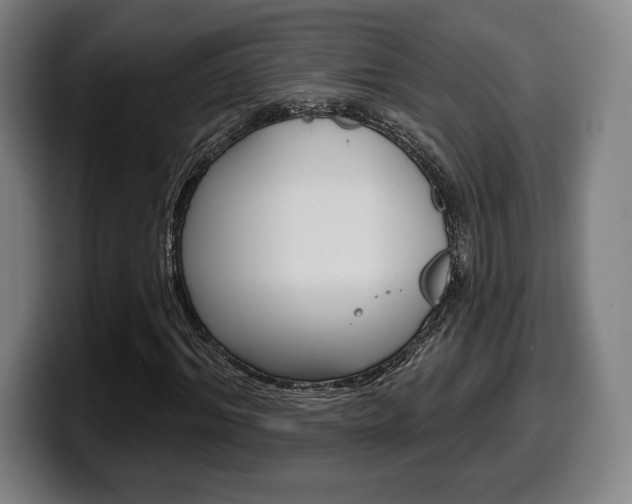 X0000099500964200805150946