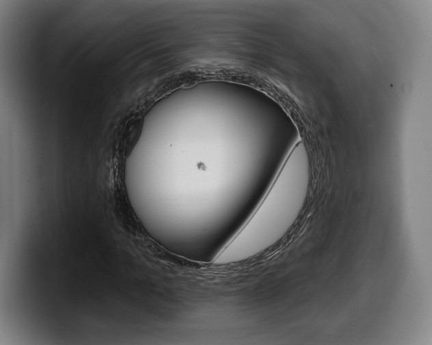X0000099500965200805150946