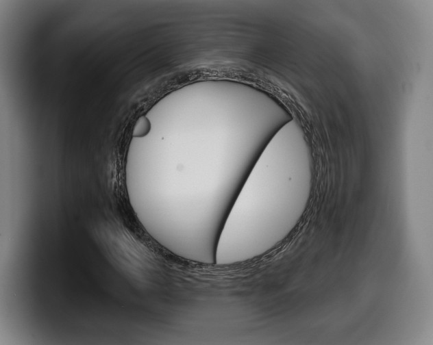 X0000099500966200805150946