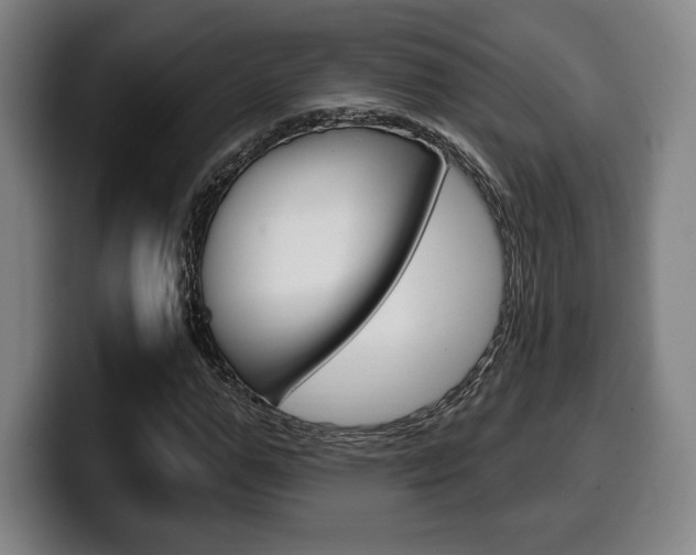 X0000099500967200805150946