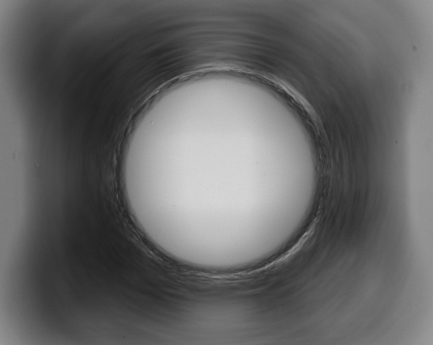 X0000099500969200805150946