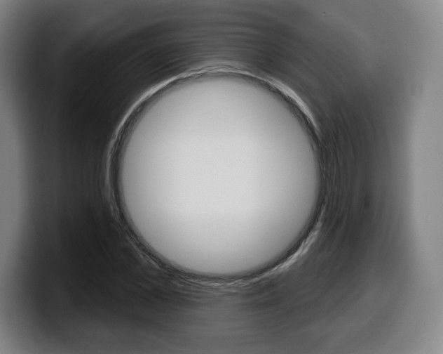 X0000099500973200805150946