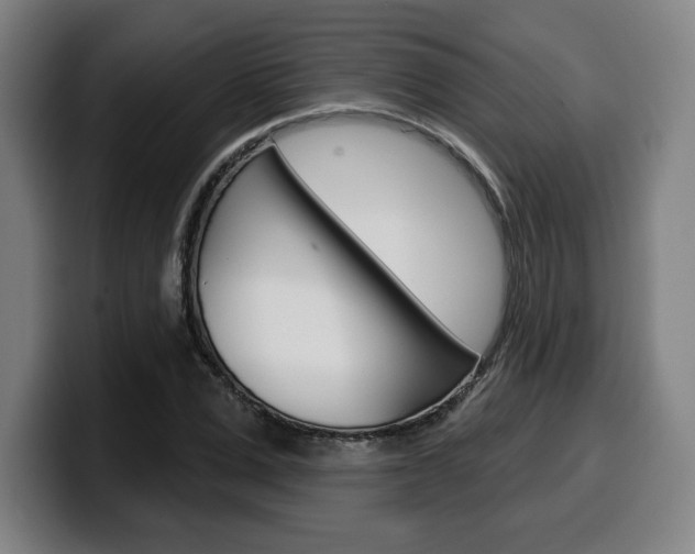 X0000099500975200805150946
