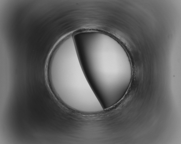 X0000099500976200805150946