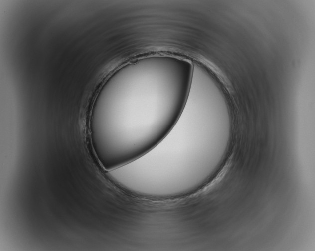 X0000099500977200805150946