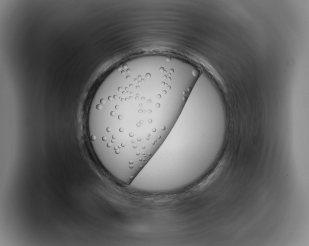 X0000099500978200805150946