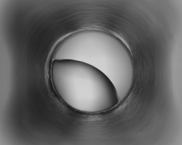 X0000099500979200805150946