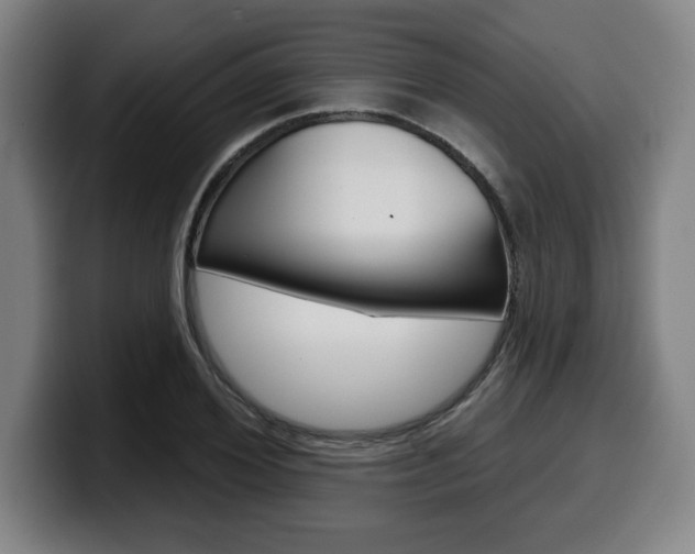 X0000099500980200805150946