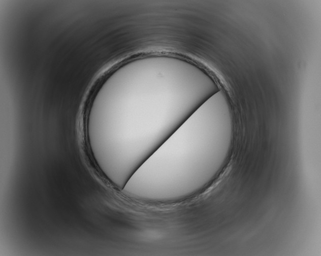 X0000099500982200805150946