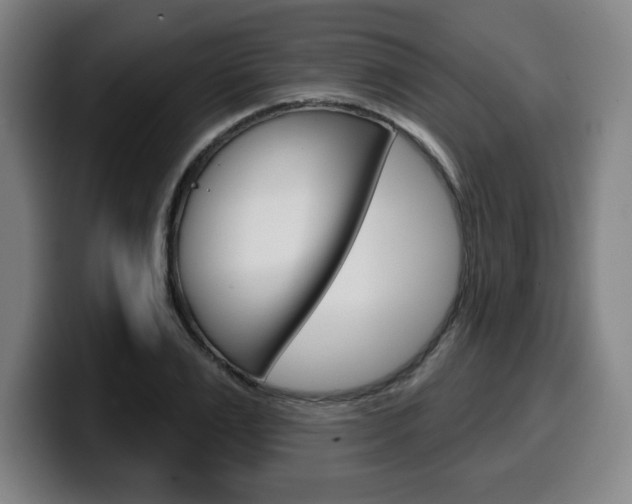 X0000099500983200805150946