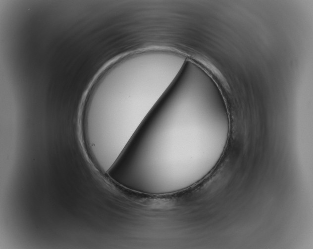 X0000099500984200805150946
