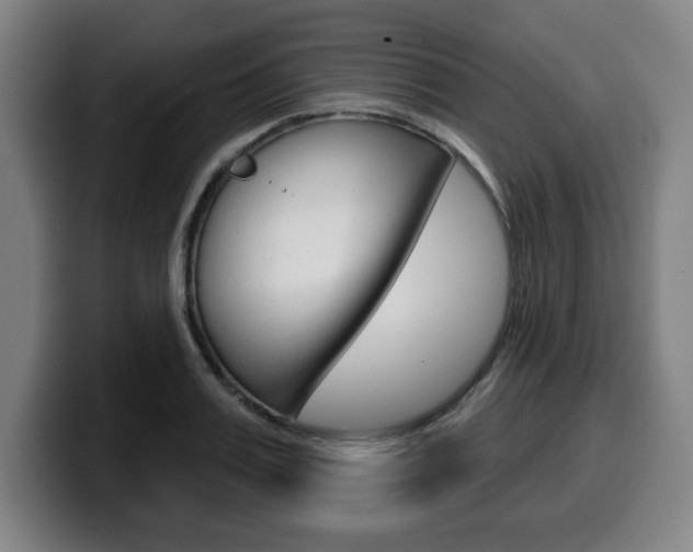 X0000099500987200805150946