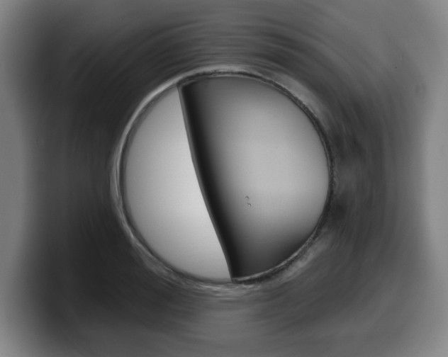 X0000099500988200805150946