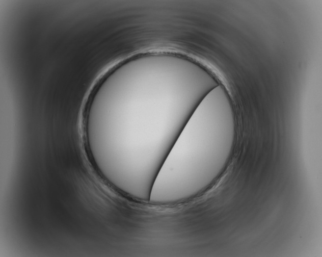 X0000099500990200805150946