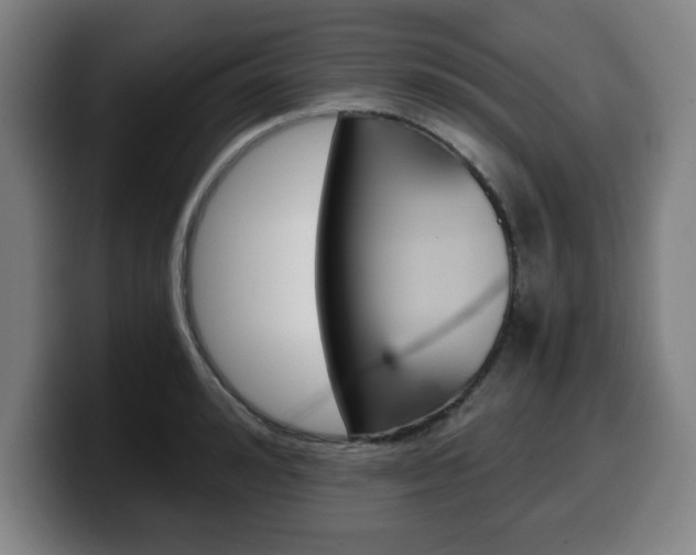 X0000099500992200805150946