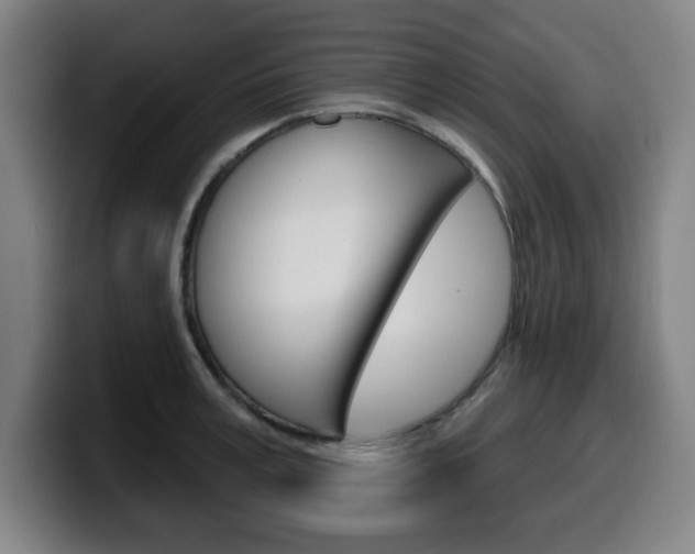 X0000099500995200805150946