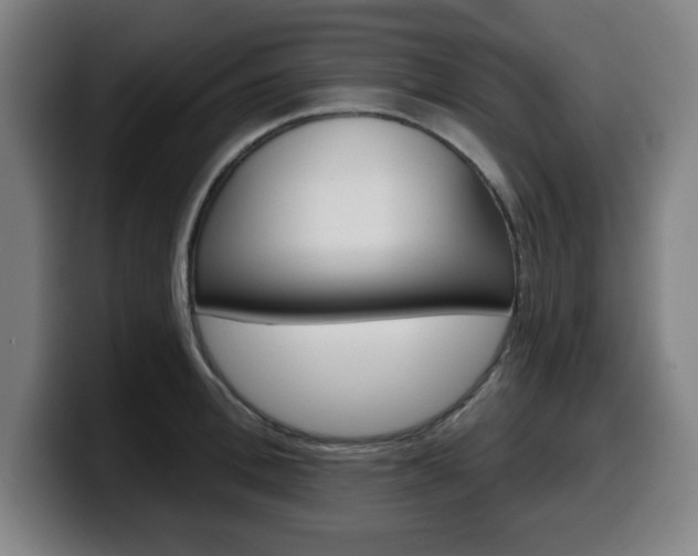 X0000099500996200805150946